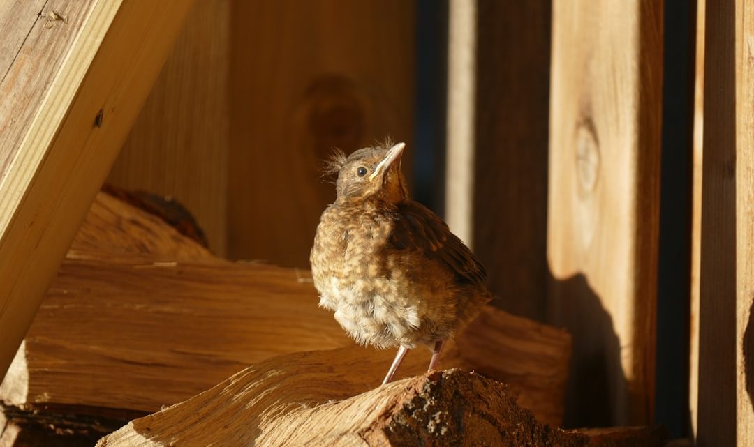 Luz suave criativa para o quarto do bebé à noite